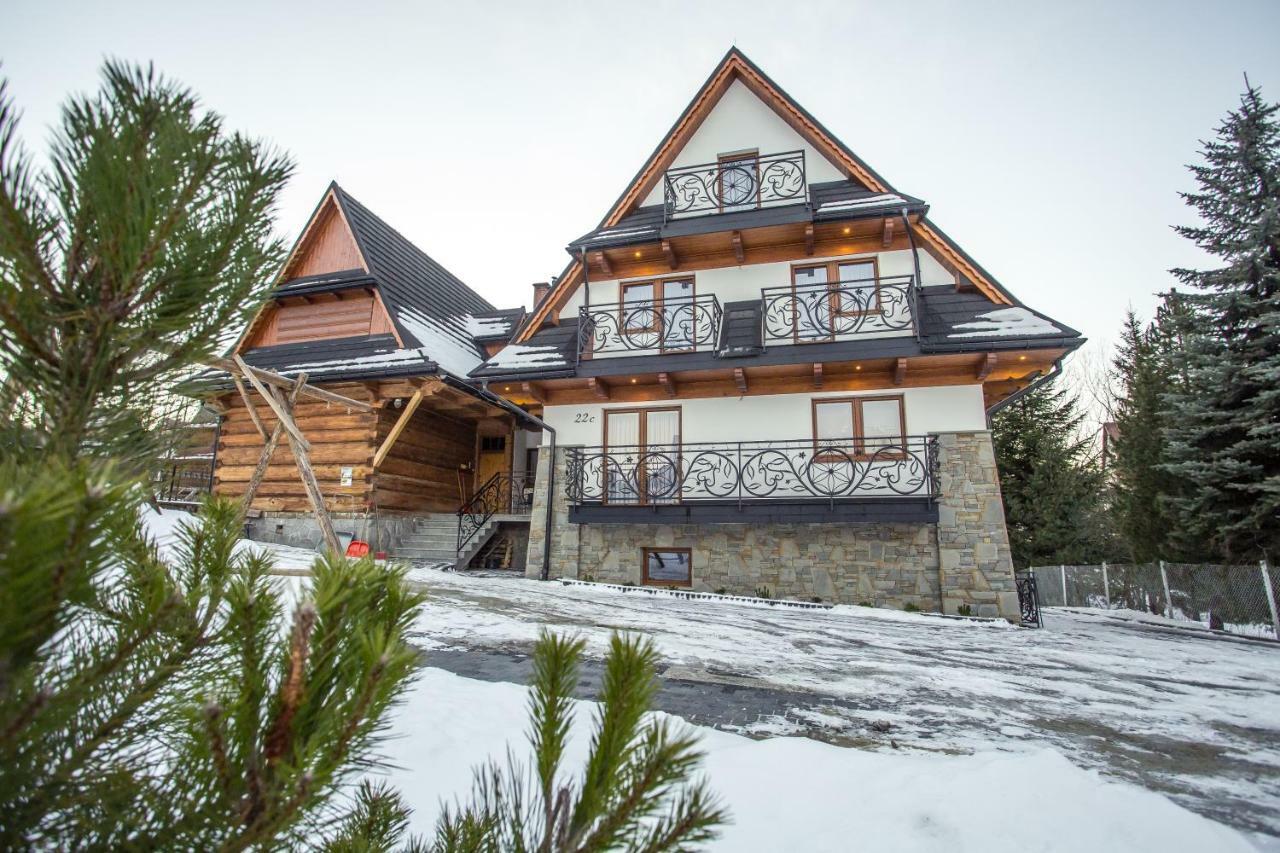 Willa Skalny Potok Zakopane Luaran gambar